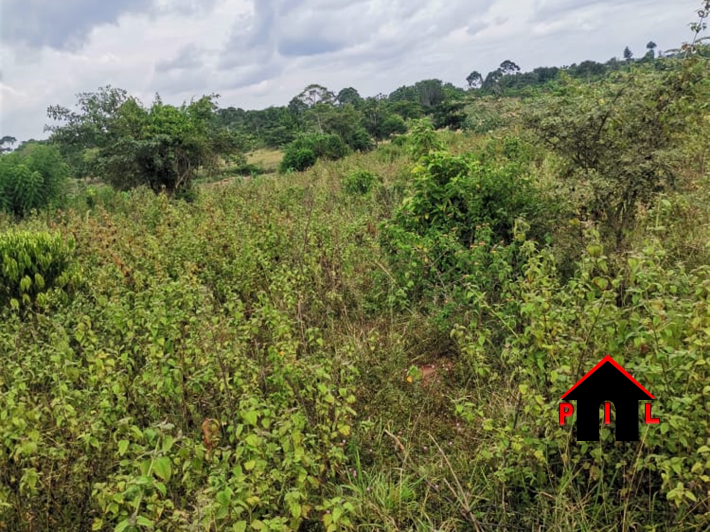 Commercial Land for sale in Buyunbiri Mukono