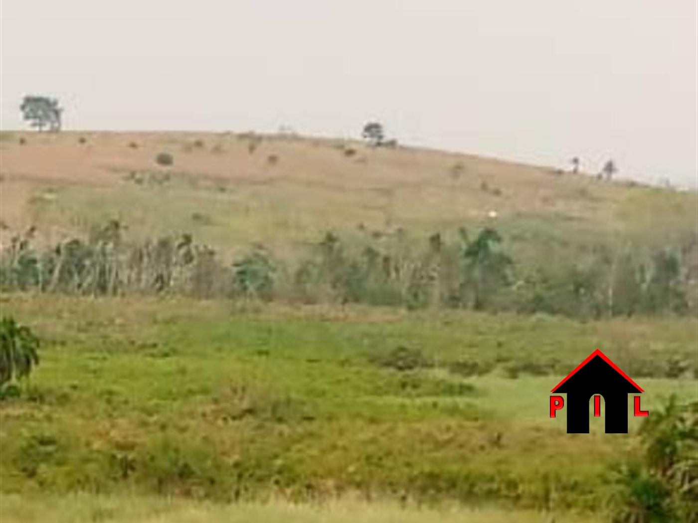 Agricultural Land for sale in Butebe Mityana
