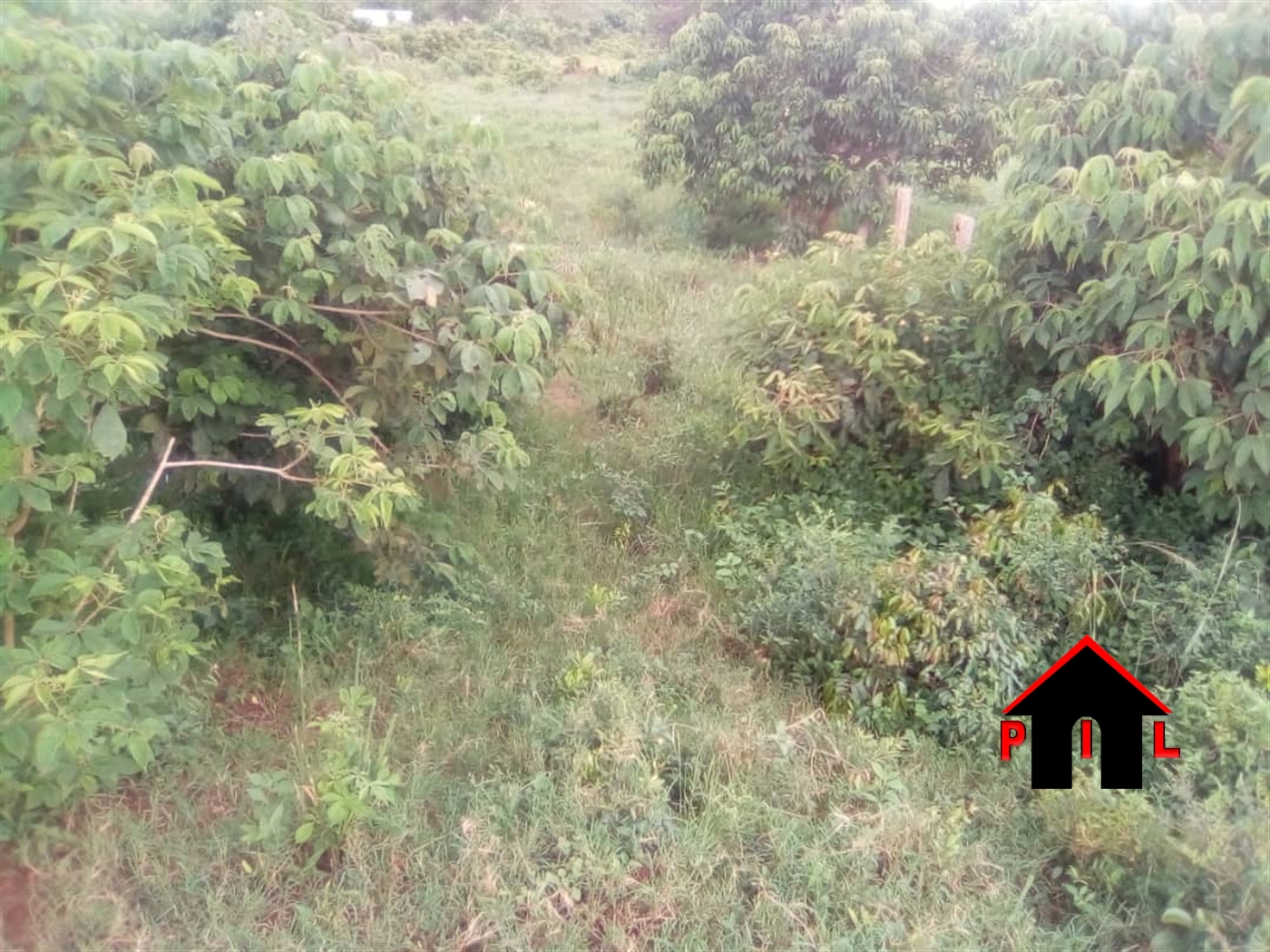 Agricultural Land for sale in Kyabikoye Luweero