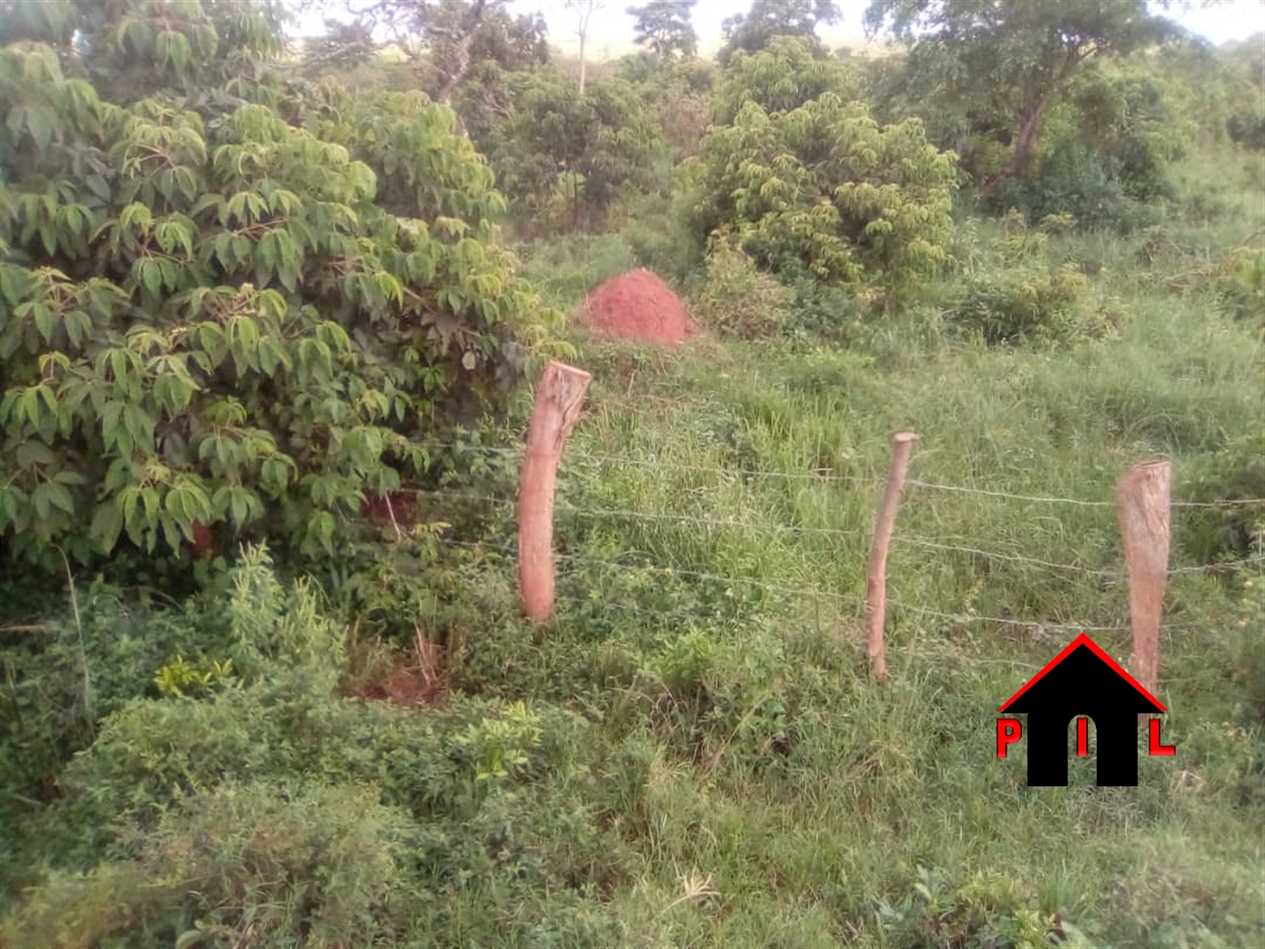 Agricultural Land for sale in Kyabikoye Luweero