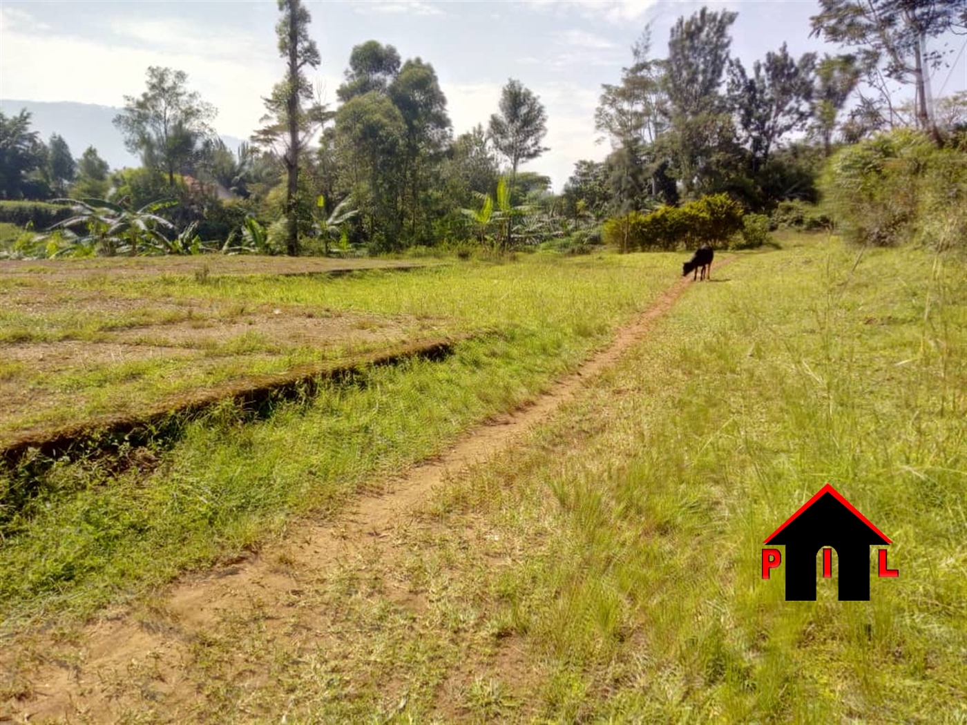 Commercial Land for sale in Bunkoko Mbaale