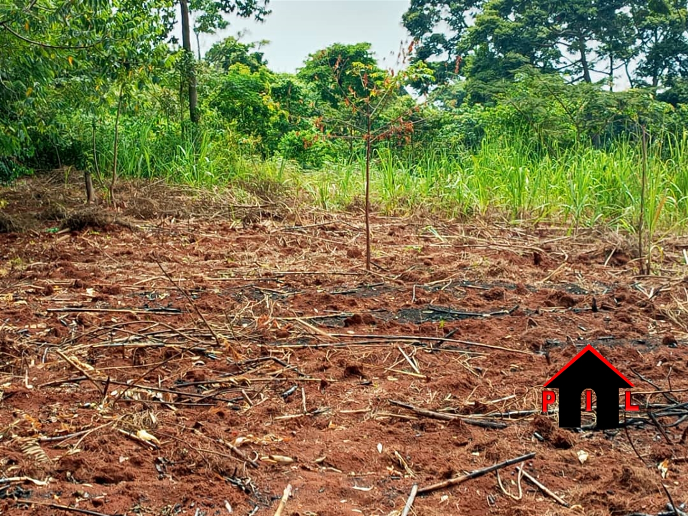 Agricultural Land for sale in Busoke Luweero