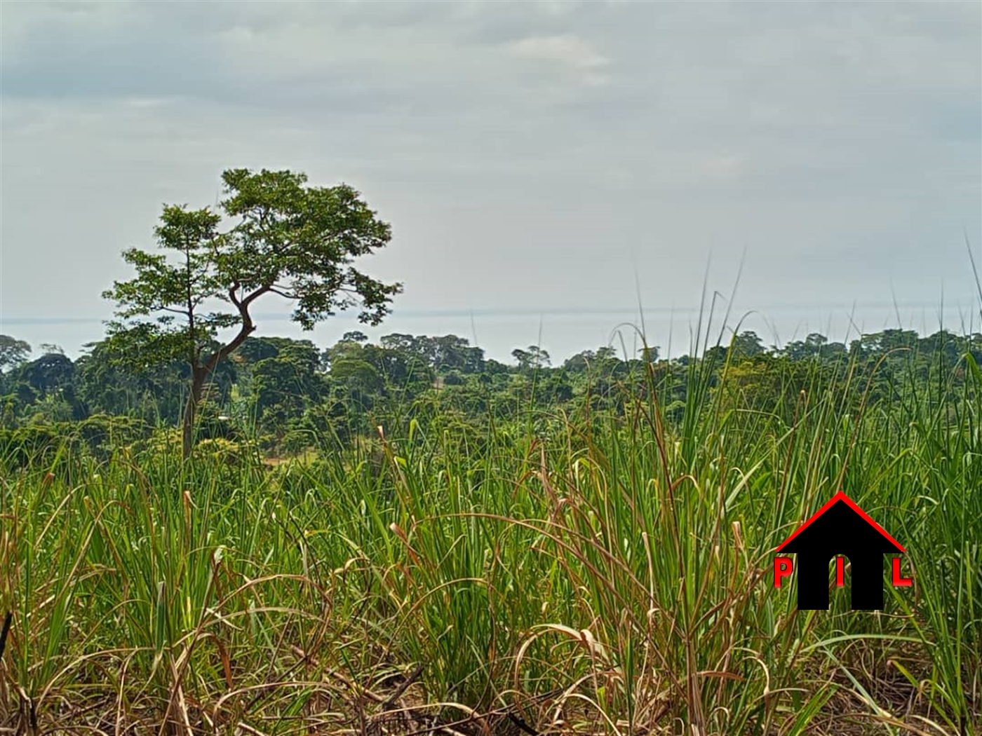 Agricultural Land for sale in Busoke Luweero