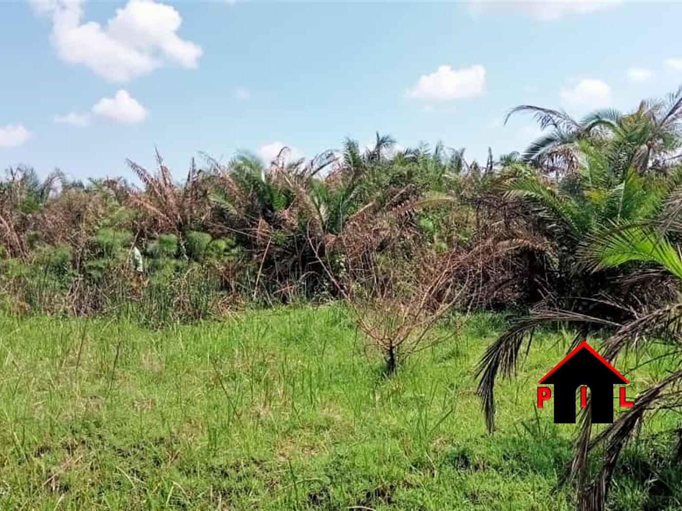 Agricultural Land for sale in Janda Luweero