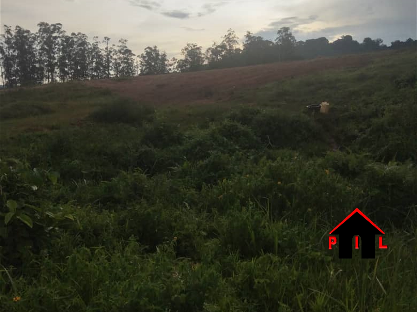 Residential Land for sale in Nsuube Mukono