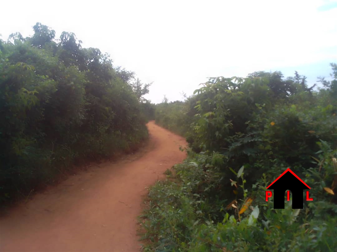 Agricultural Land for sale in Kakooge Nakasongola