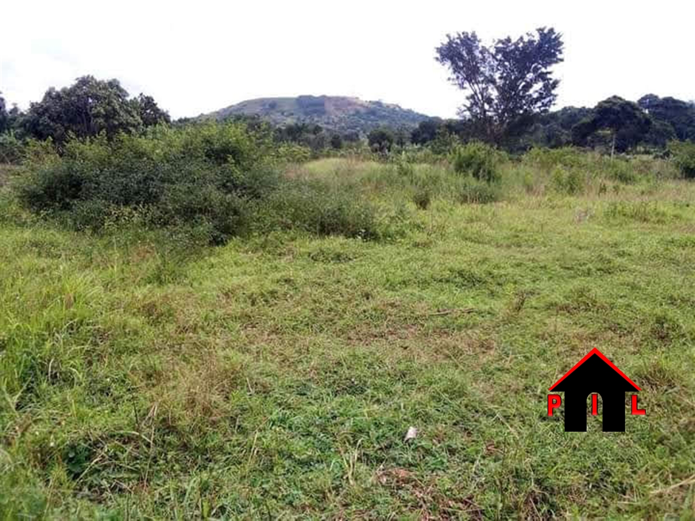 Agricultural Land for sale in Bukomelo Kiboga