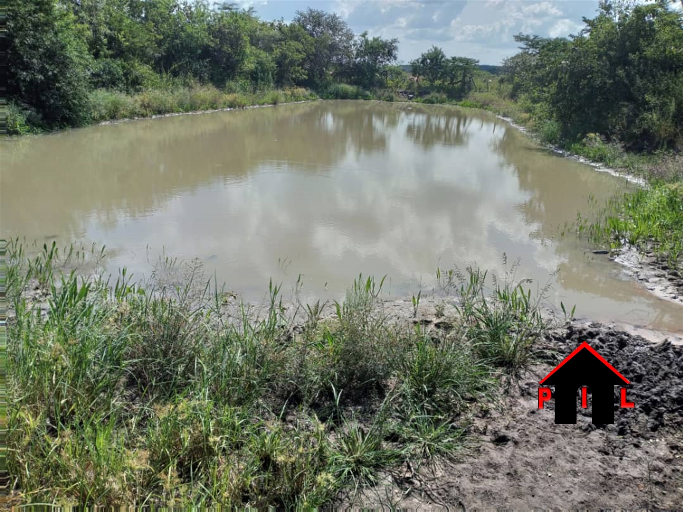 Agricultural Land for sale in Kikyuusa Luweero