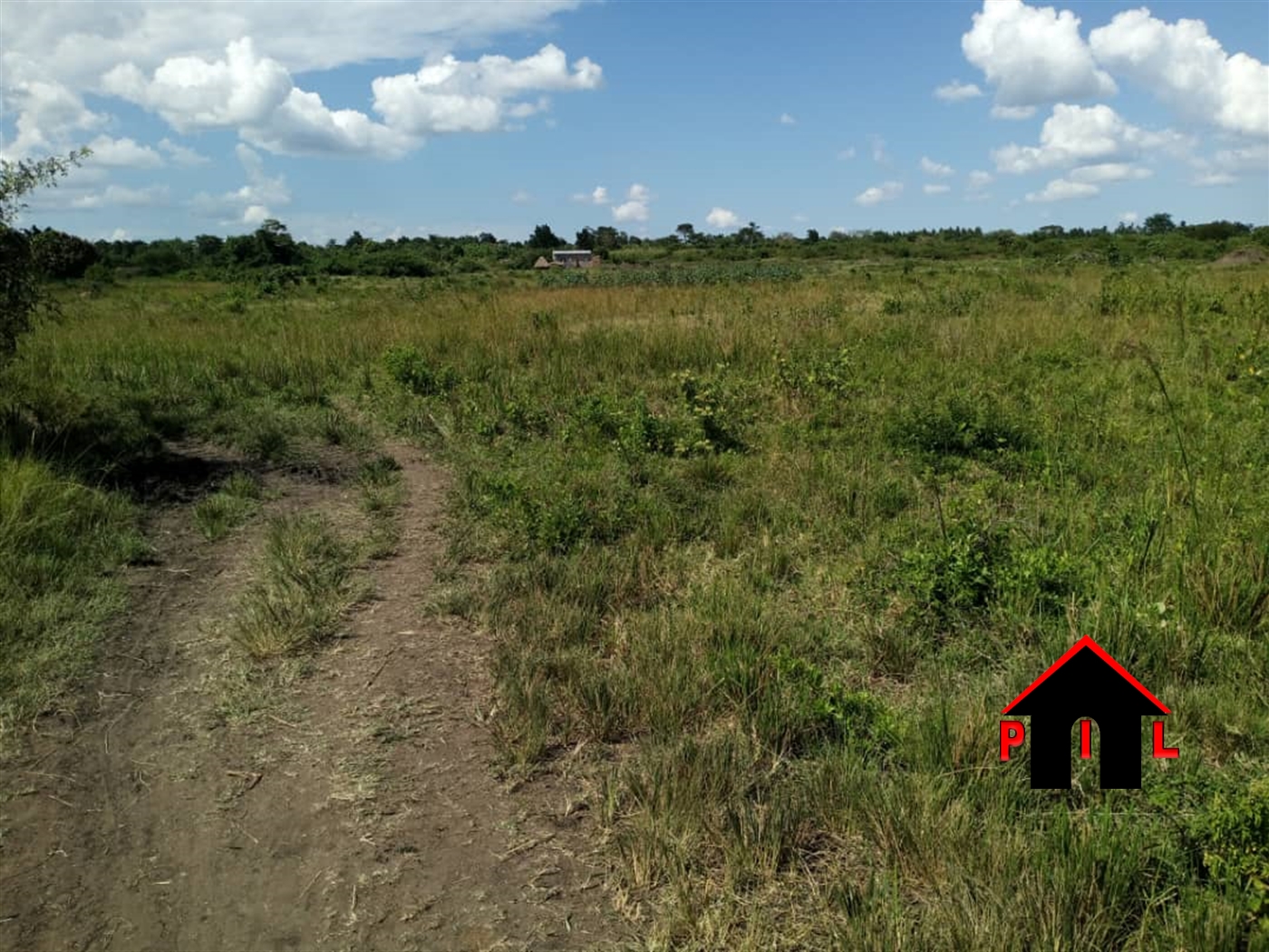 Agricultural Land for sale in Kikyuusa Luweero