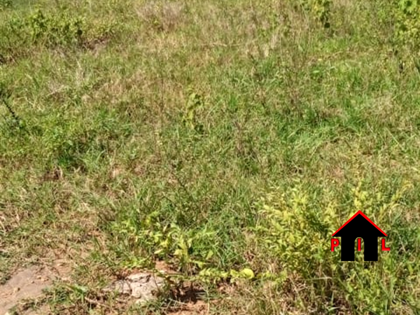 Residential Land for sale in Busukuma Wakiso