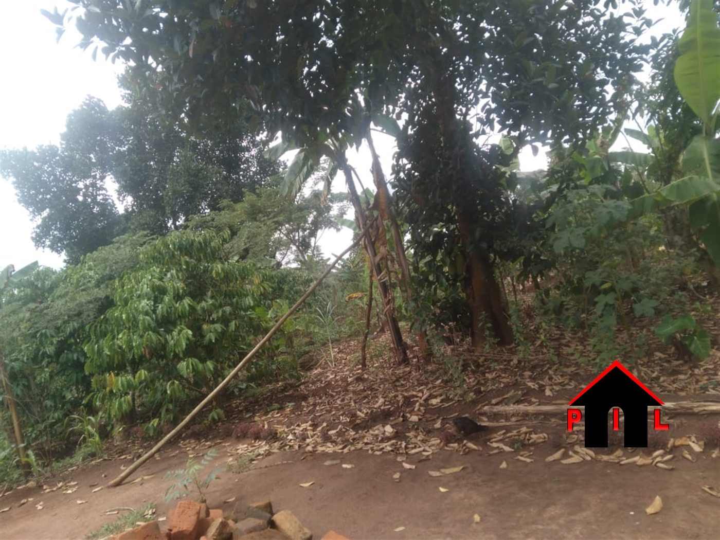 Residential Land for sale in Nakifuma Mukono