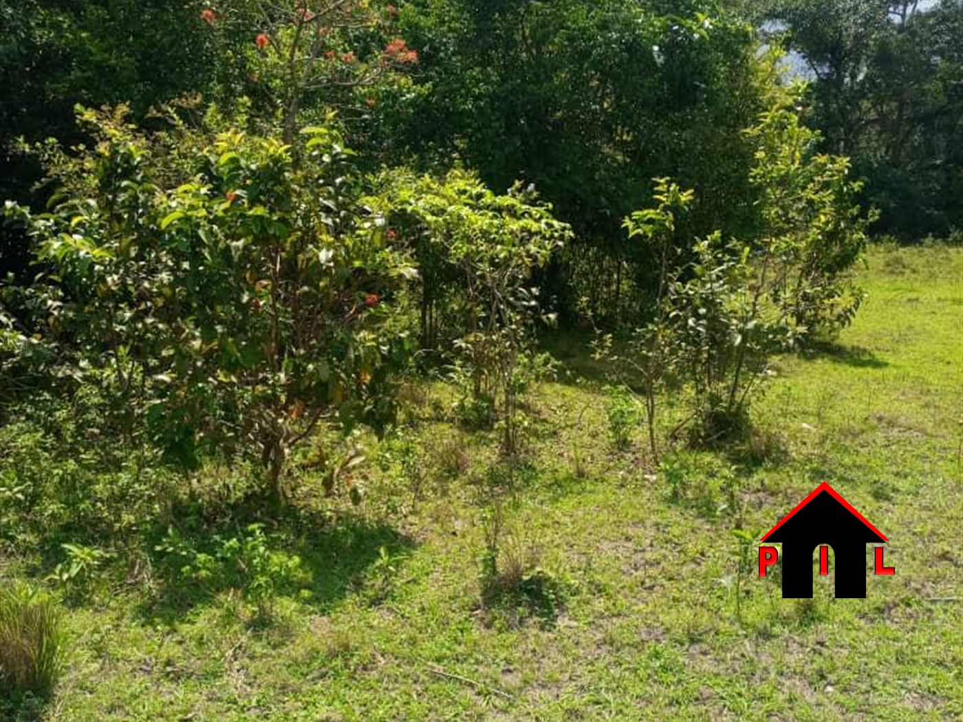 Agricultural Land for sale in Kaliisizo Kyotera