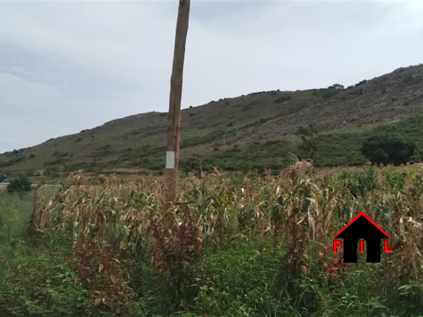 Commercial Land for sale in Nyenga Jinja