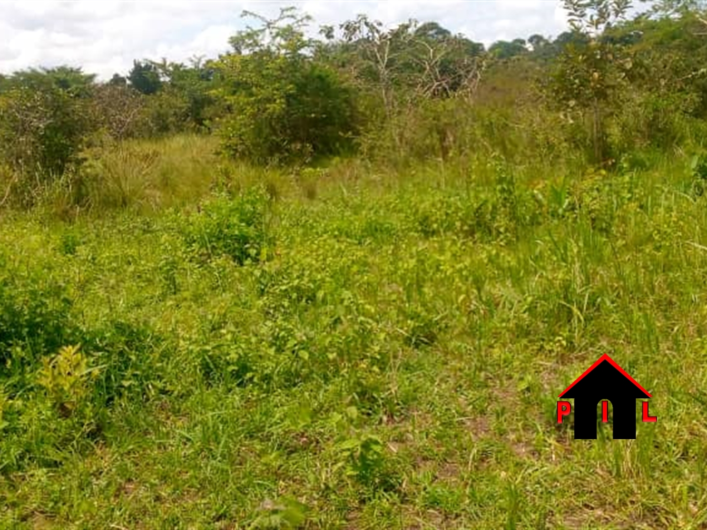 Agricultural Land for sale in Wattuba Luweero