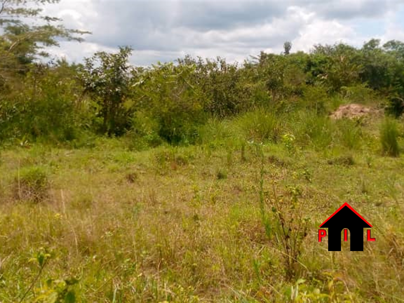 Agricultural Land for sale in Wattuba Luweero