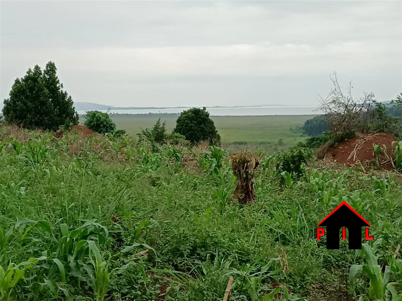 Commercial Land for sale in Ntenjjeru Mukono