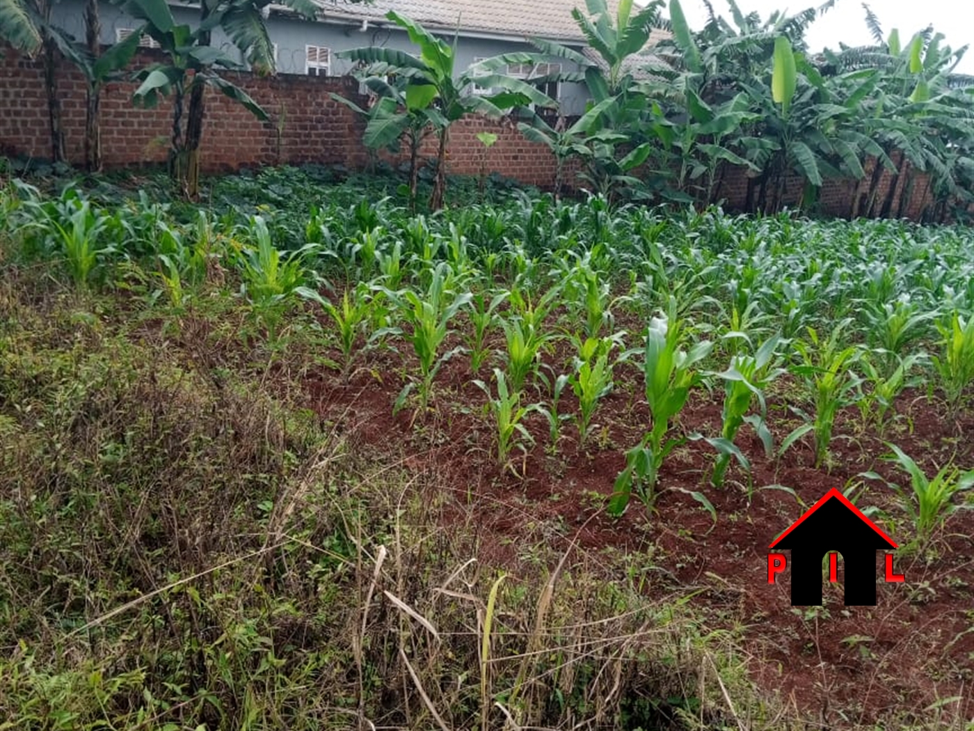 Residential Land for sale in Mazzi Wakiso