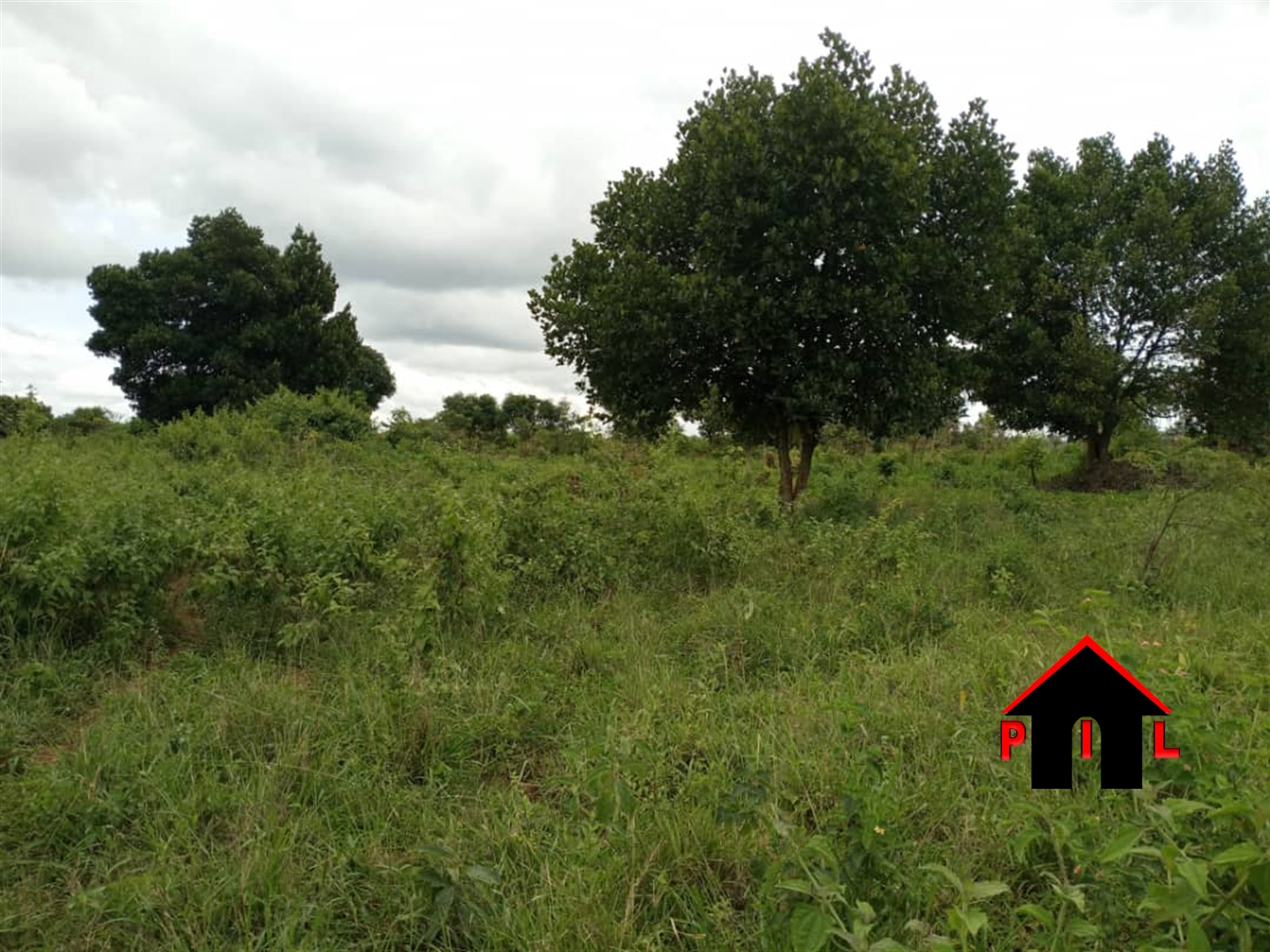 Commercial Land for sale in Nabinaka Wakiso