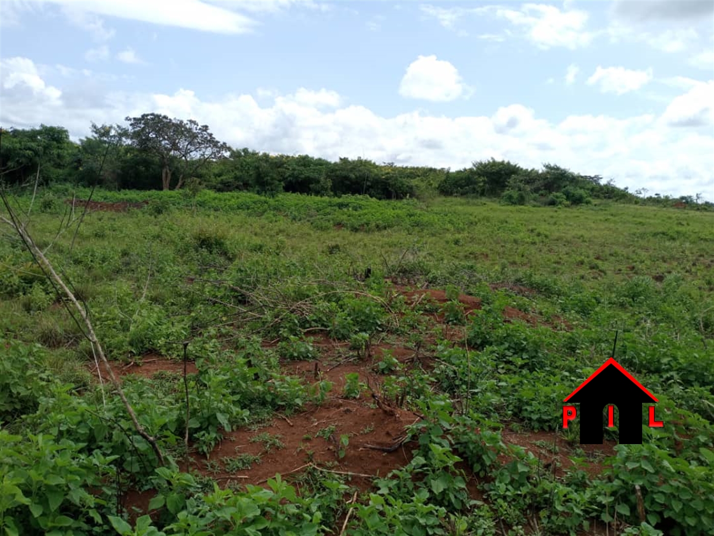 Commercial Land for sale in Nabinaka Wakiso