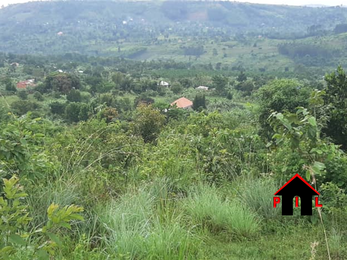 Commercial Land for sale in Kizzi Mpigi