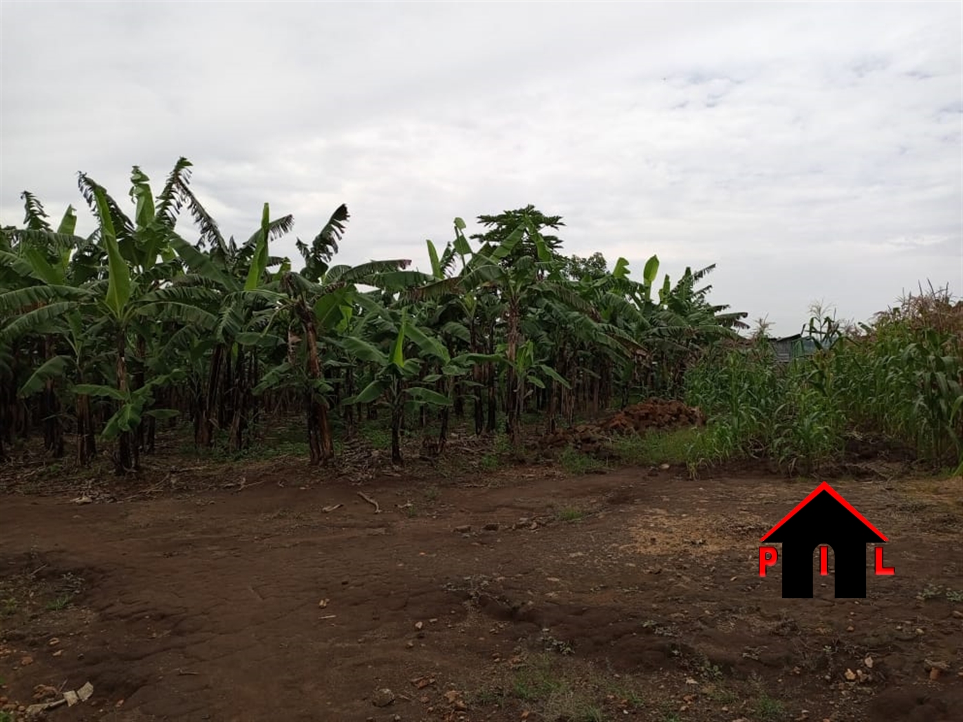Commercial Land for sale in Kironde Kampala