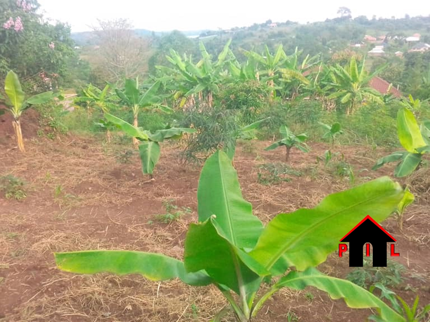 Residential Land for sale in Nakawuka Wakiso