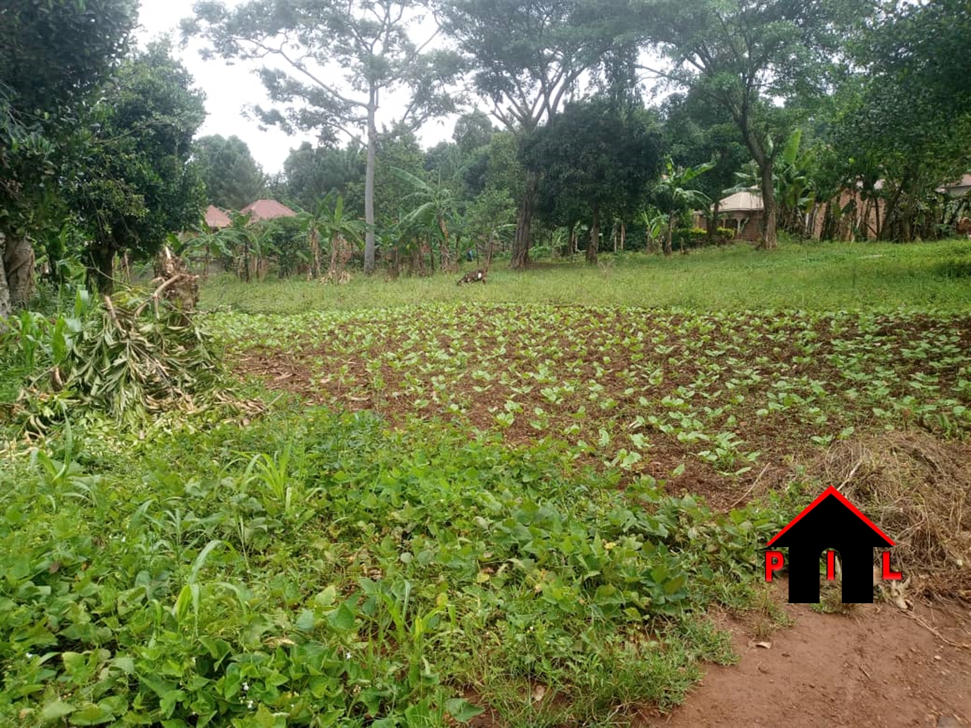 Commercial Land for sale in Koko Gomba