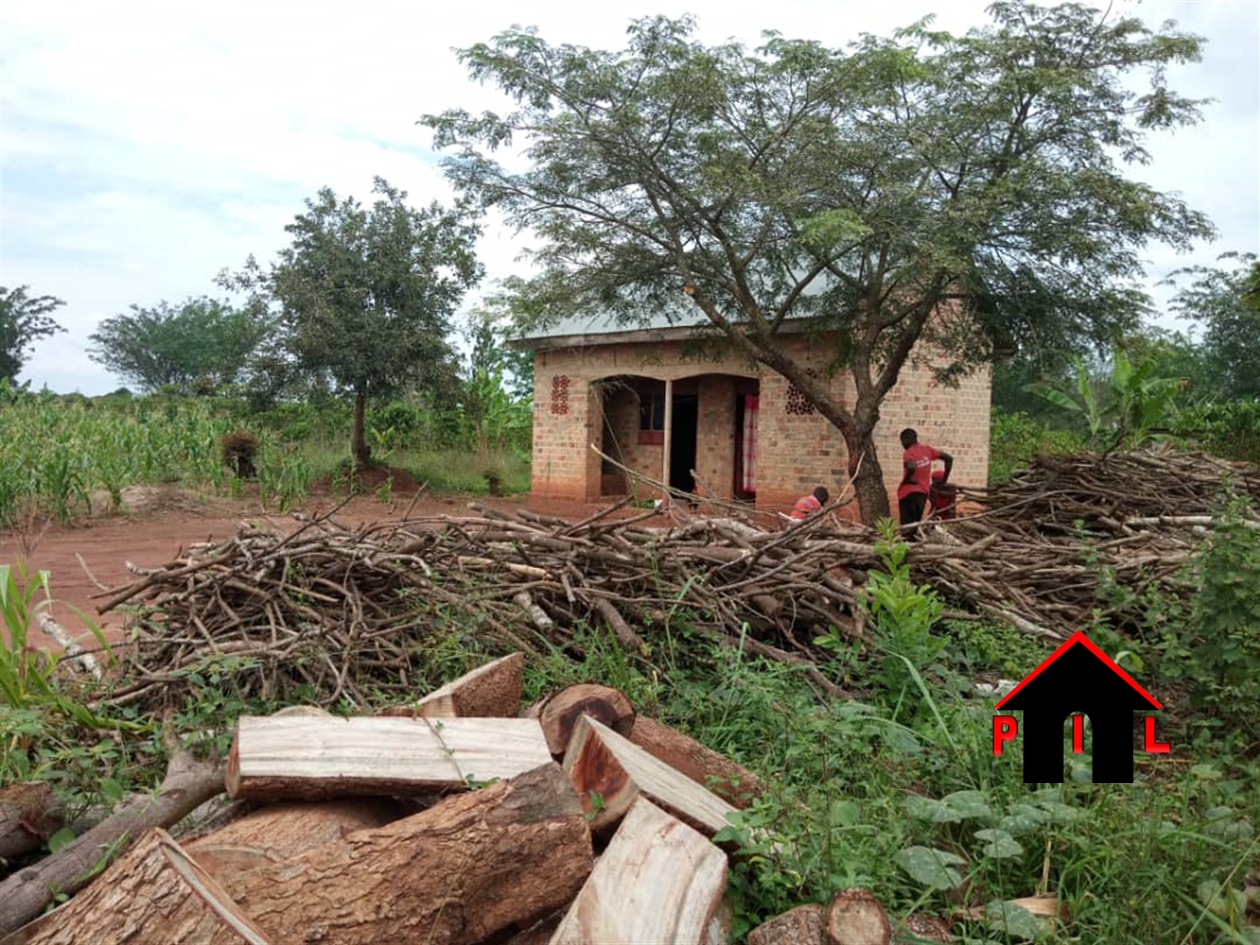 Agricultural Land for sale in Ngogolo Luweero