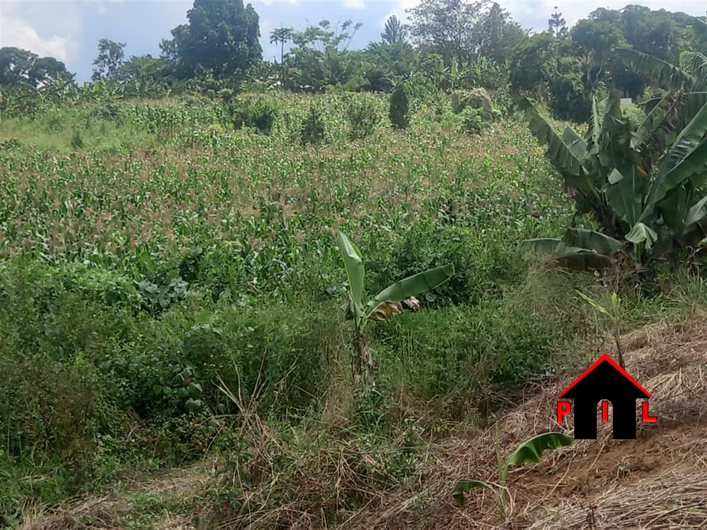 Commercial Land for sale in Nakassajja Wakiso
