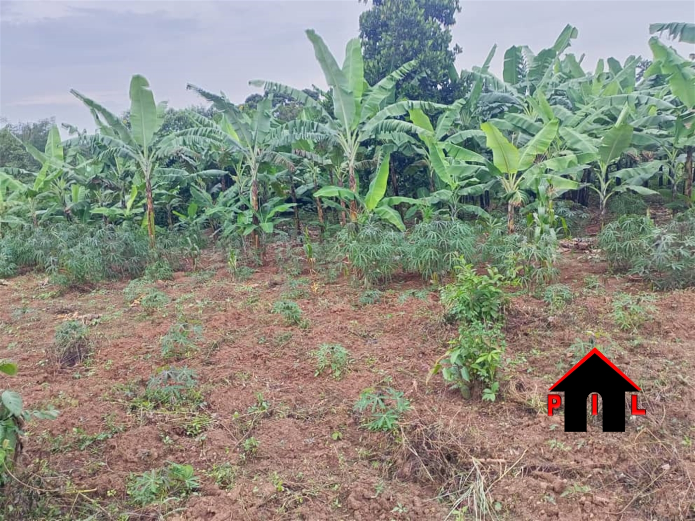 Residential Land for sale in Bombo Luweero