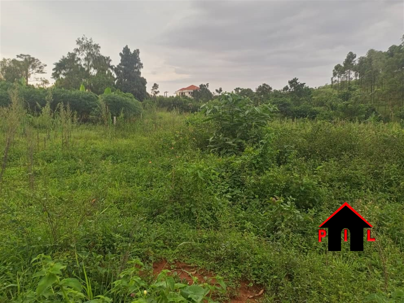 Residential Land for sale in Bombo Luweero