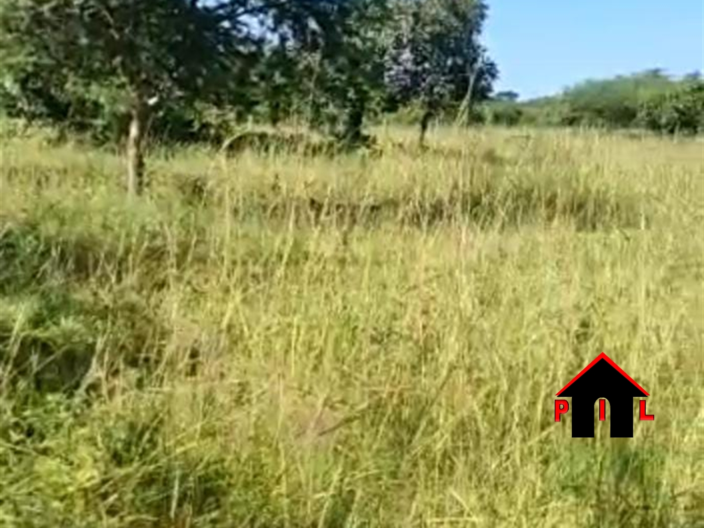 Farm for sale in Migyera Nakasongola