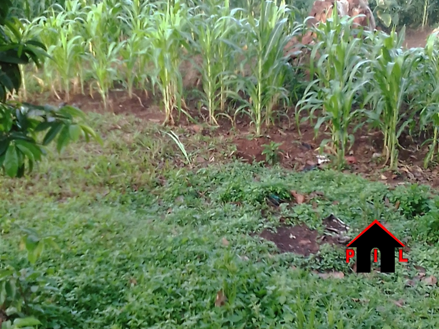 Commercial Land for sale in Nabwelu Wakiso