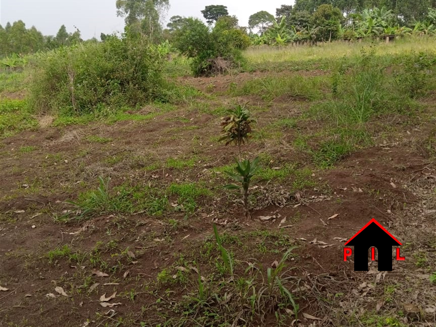 Commercial Land for sale in Kitende Wakiso