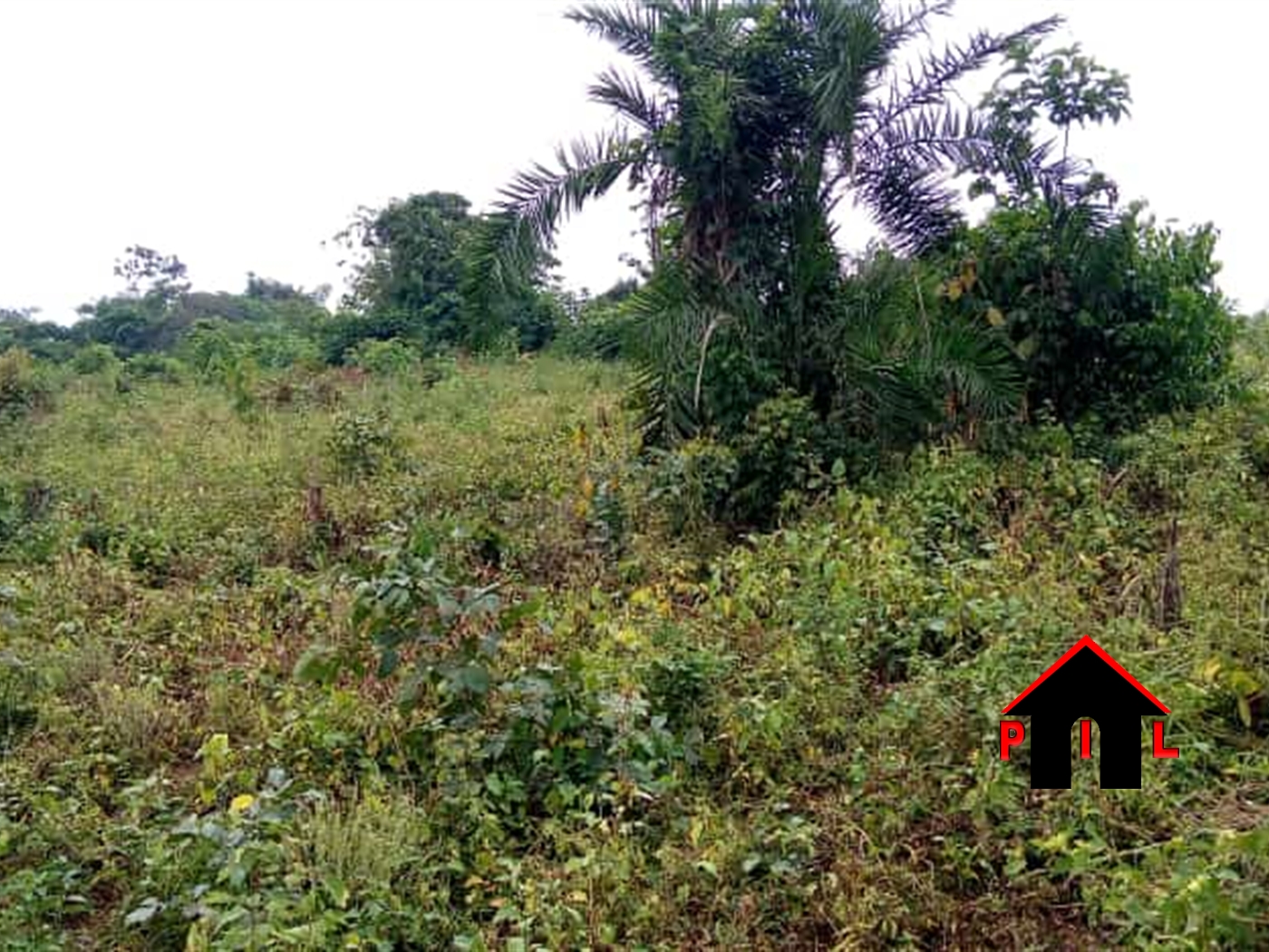 Commercial Land for sale in Kiwumu Mukono