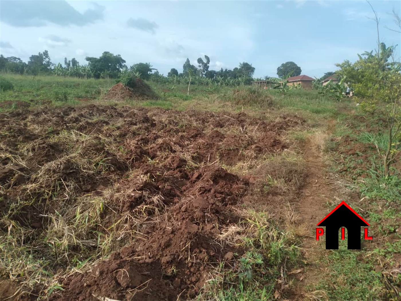 Agricultural Land for sale in Kalongo Agago