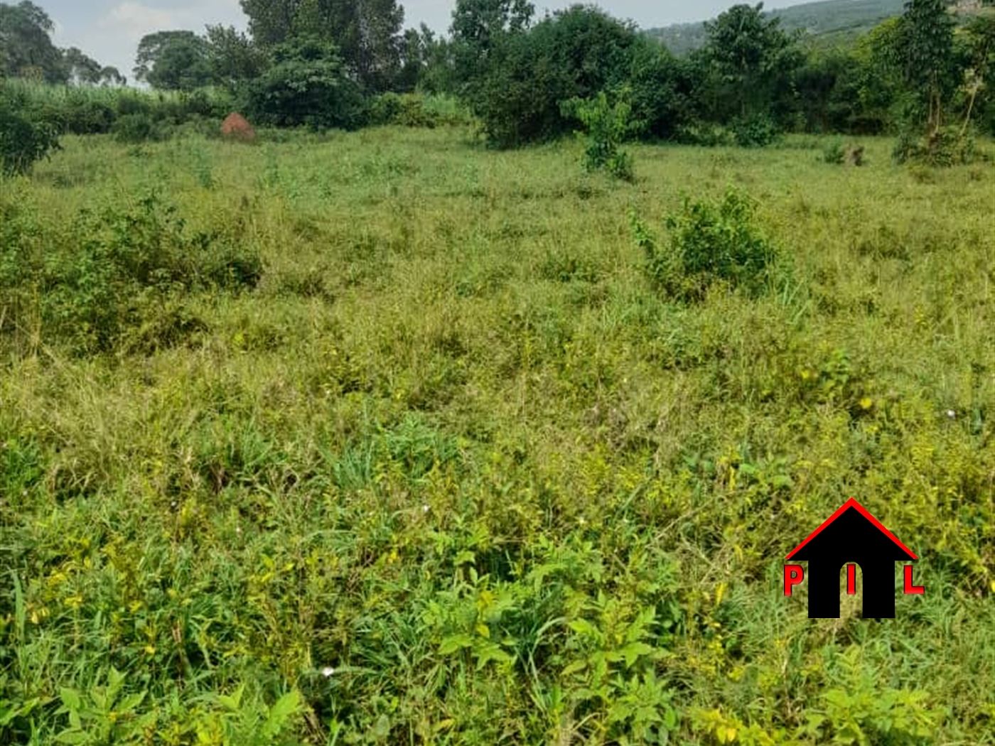 Agricultural Land for sale in Anaka Nwoya