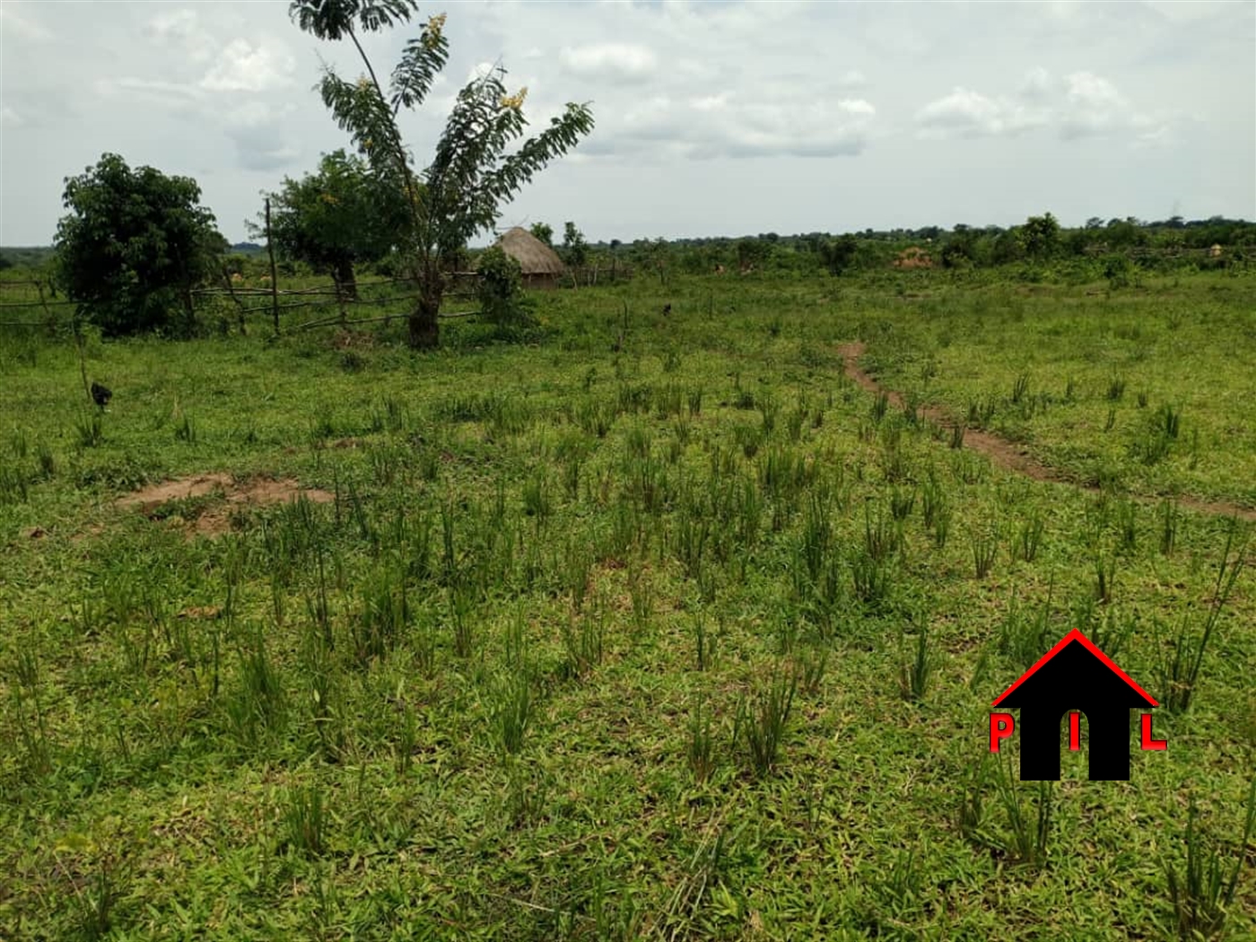Agricultural Land for sale in Kalongo Agago