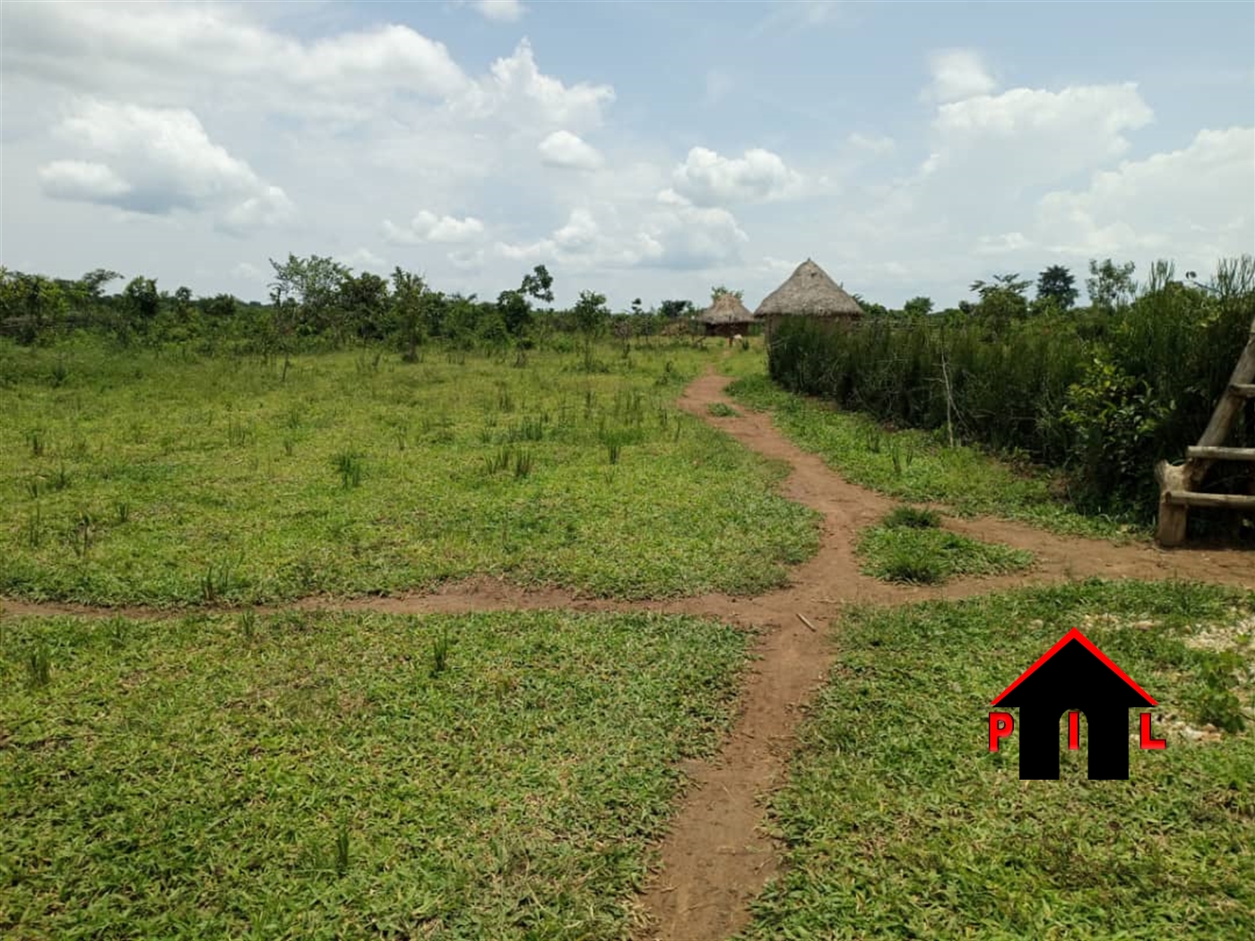 Agricultural Land for sale in Kalongo Agago