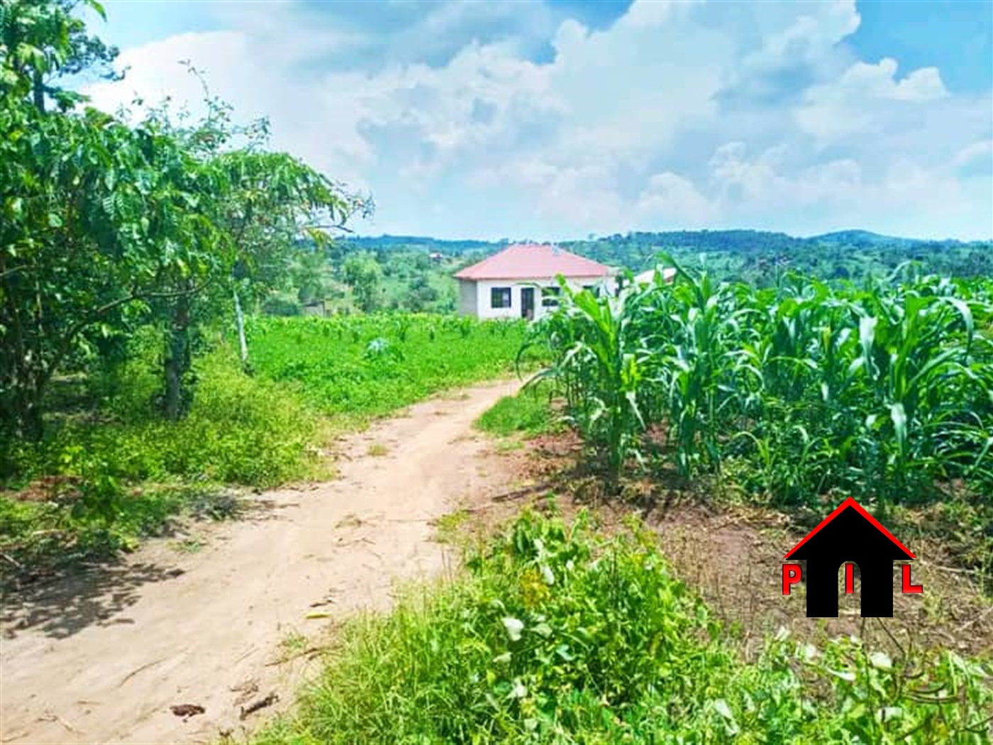 Agricultural Land for sale in Bukomelo Kiboga