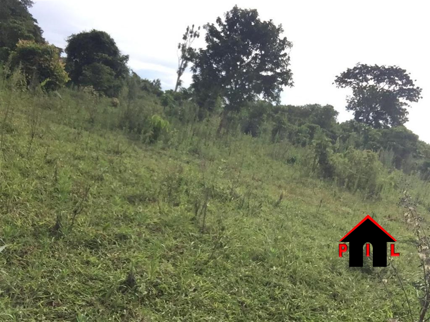 Agricultural Land for sale in Kakooge Nakasongola