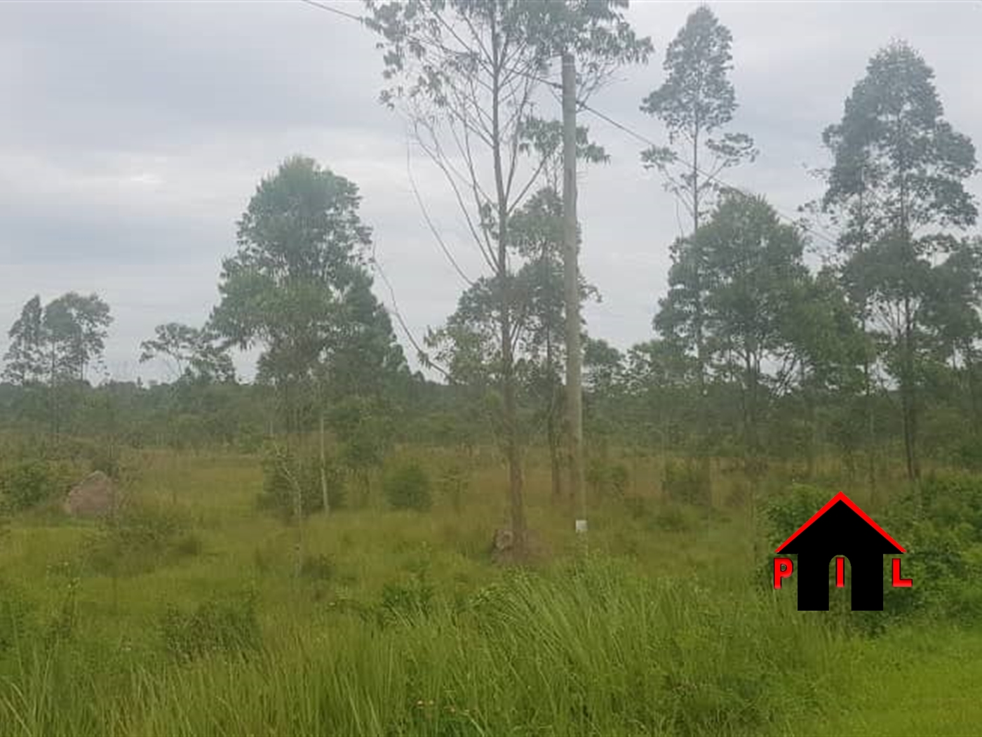 Agricultural Land for sale in Kinoni Mbarara