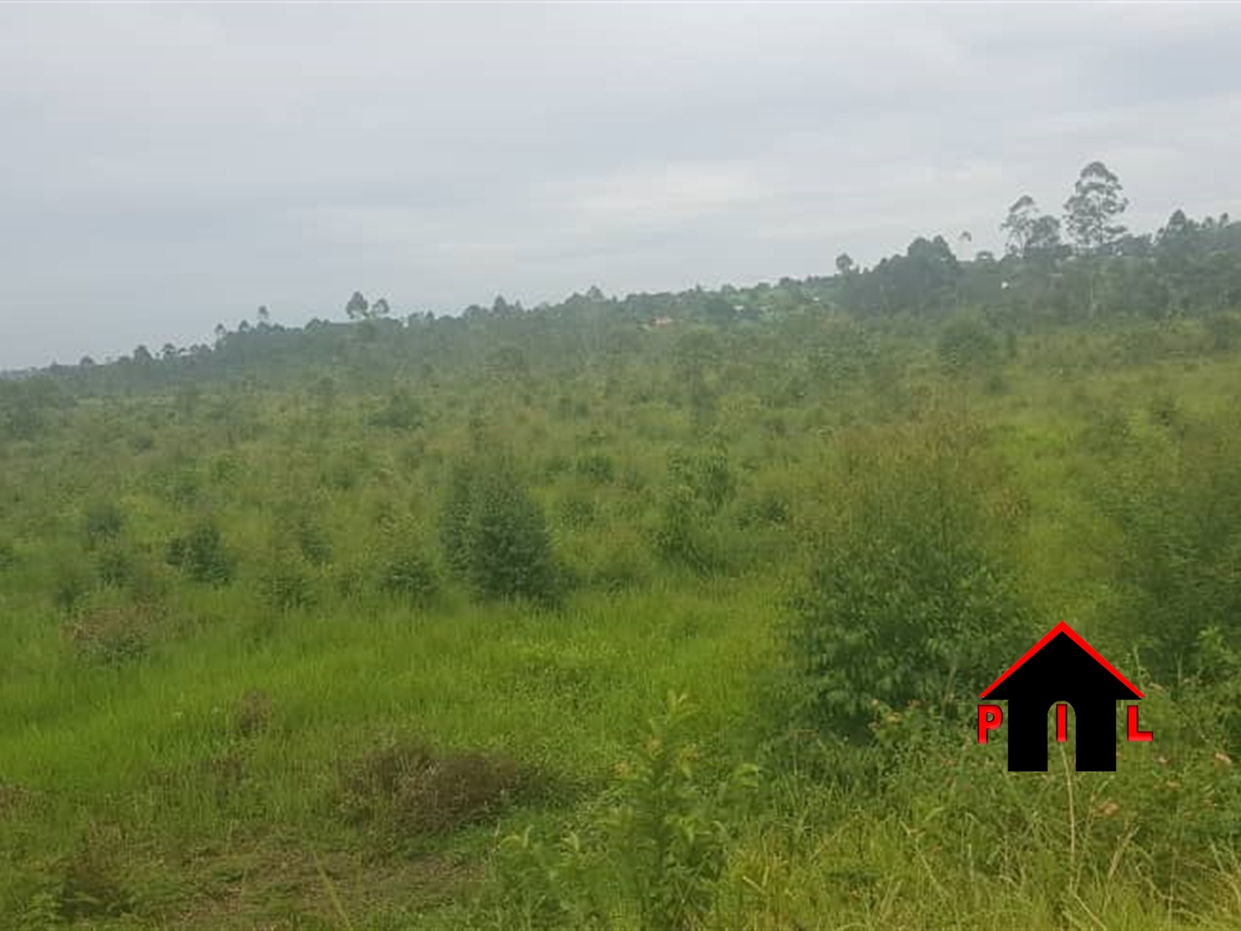 Agricultural Land for sale in Kinoni Mbarara