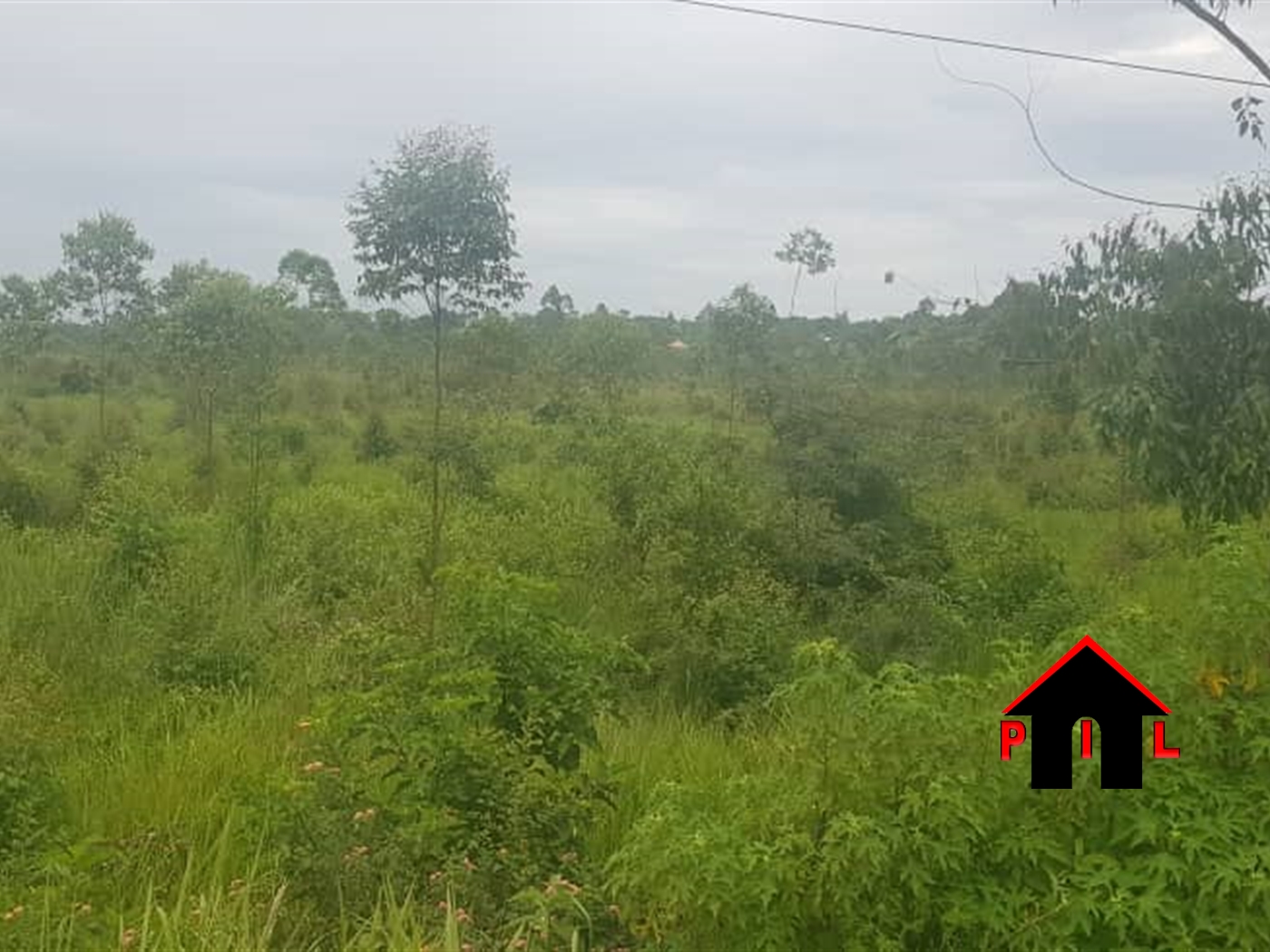 Agricultural Land for sale in Kinoni Mbarara