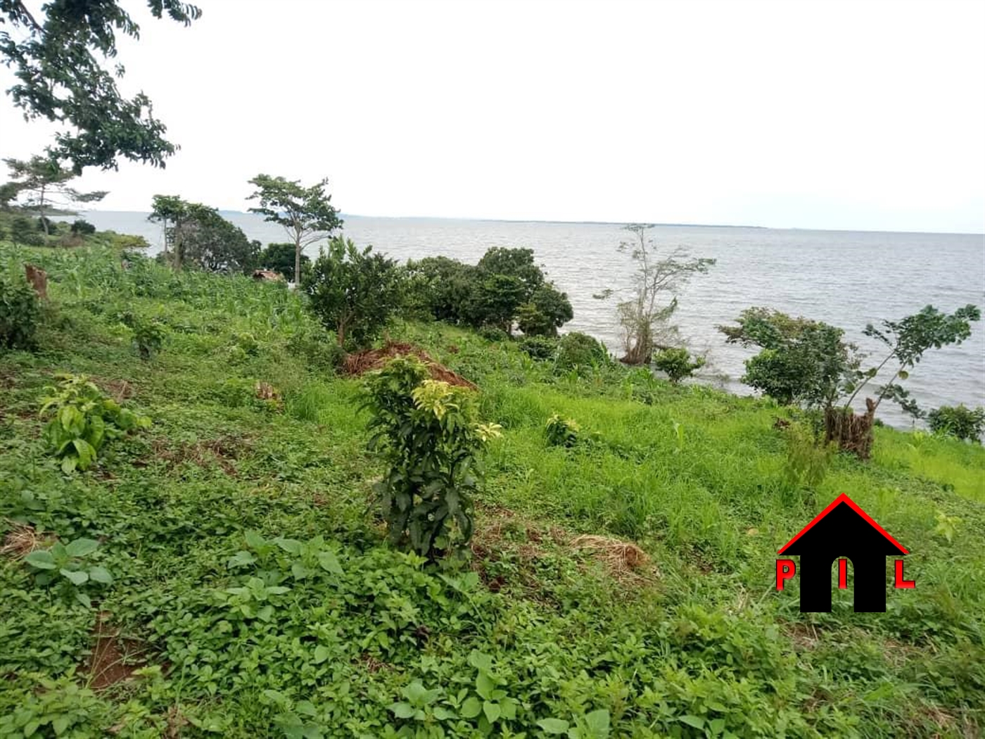 Agricultural Land for sale in Bwaka Buvuma