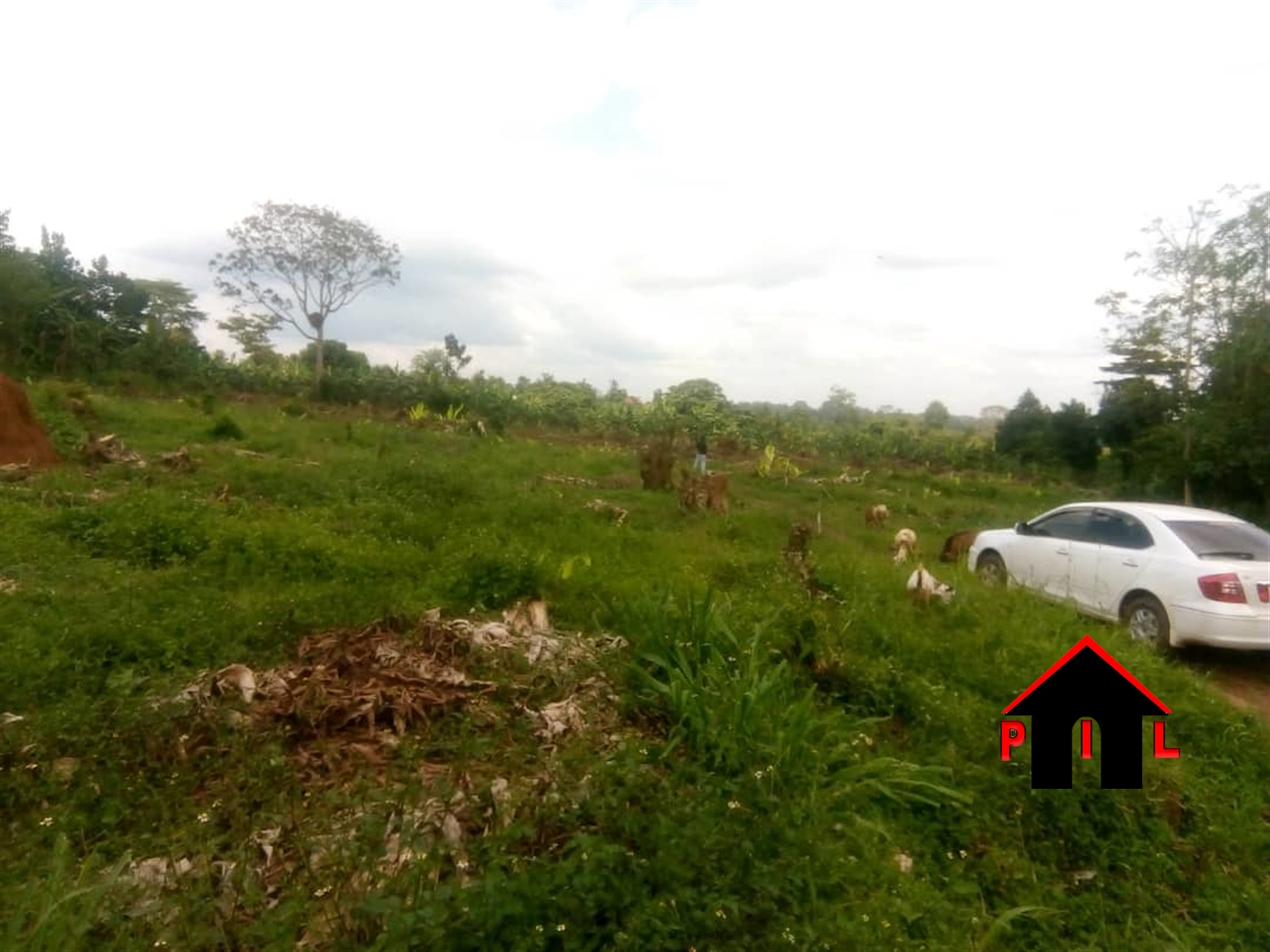 Residential Land for sale in Busujja Wakiso
