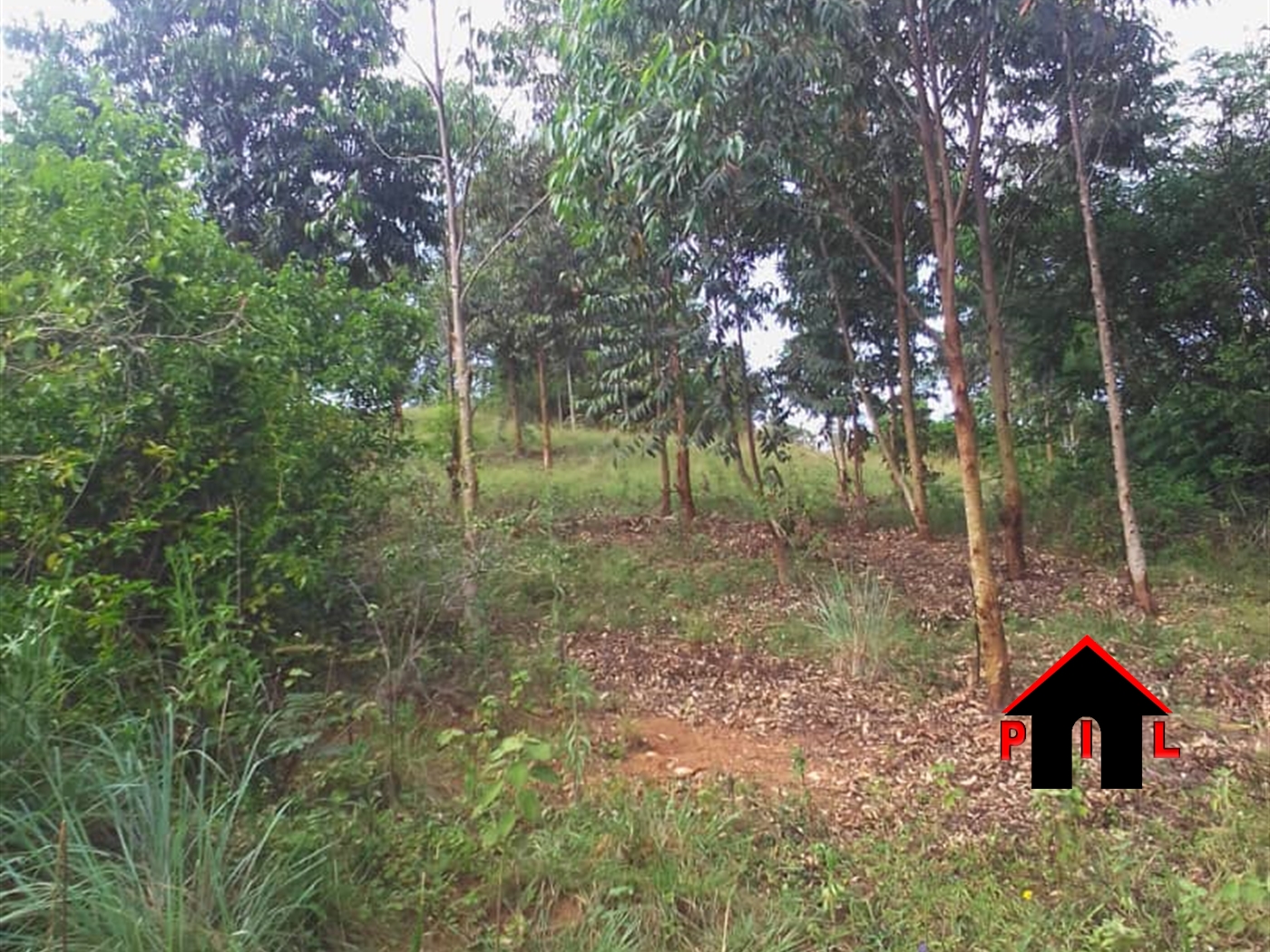 Commercial Land for sale in Lukaya Kalungu