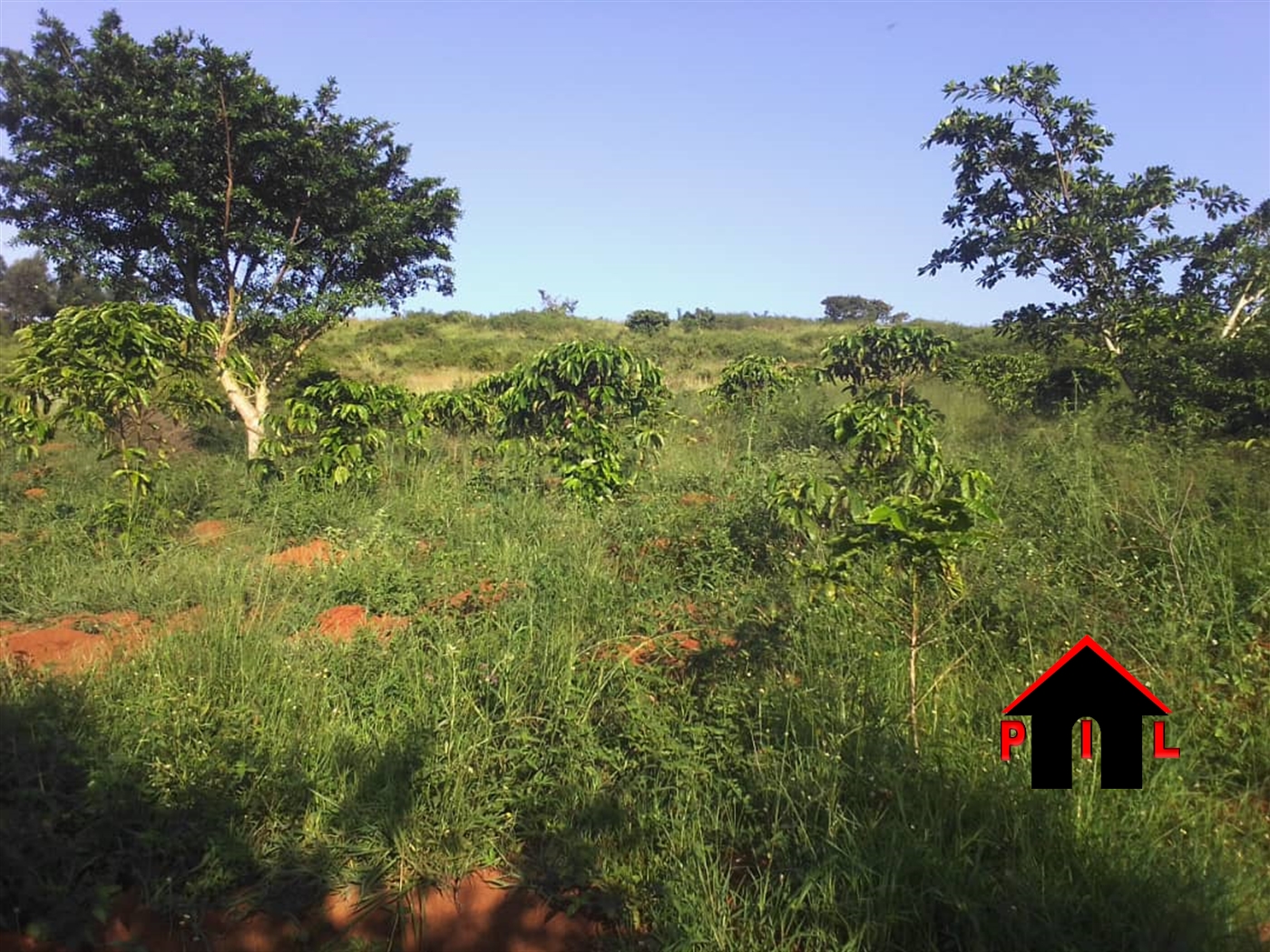 Commercial Land for sale in Lukaya Kalungu
