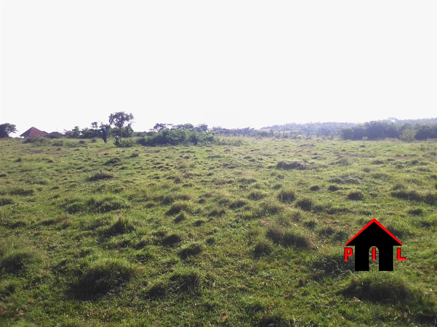 Commercial Land for sale in Lukaya Kalungu