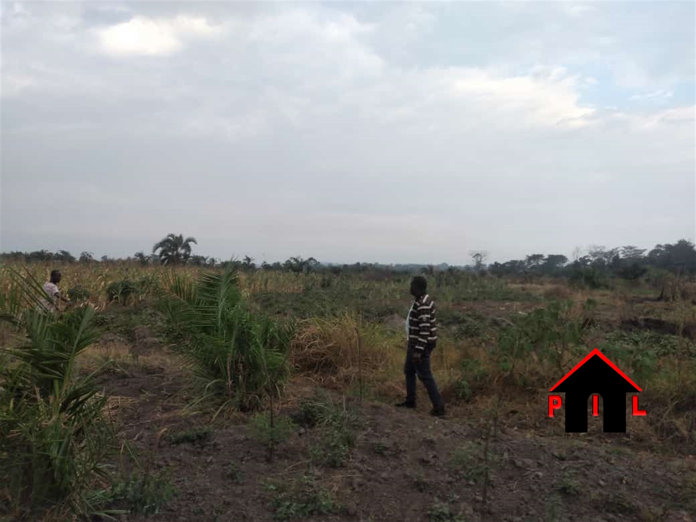 Agricultural Land for sale in Namasinda Mukono